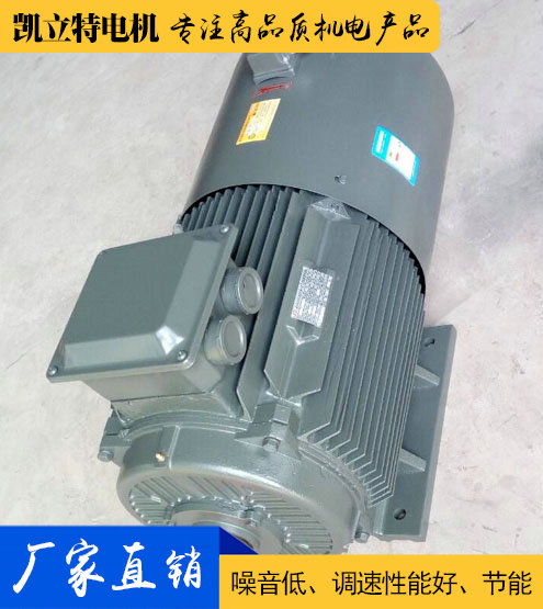 YVF2/YVP2/YP2變頻電機(jī)