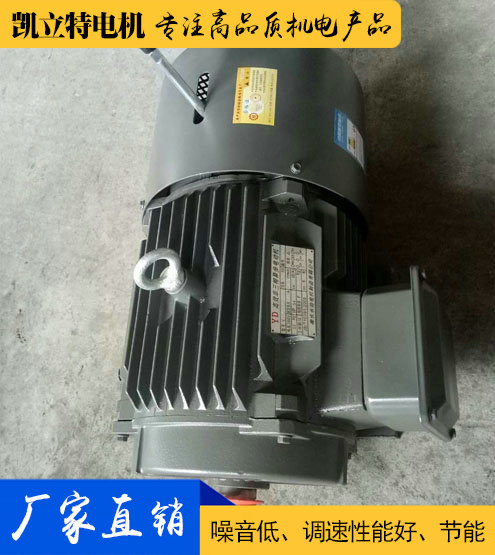 YEJ剎車制動電機